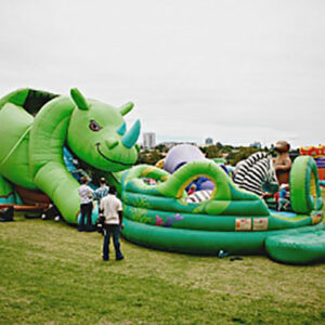 Animal Adventure Slide