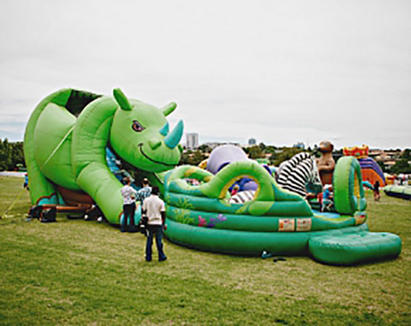 Animal Adventure Slide