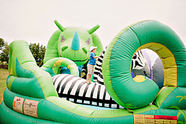 Animal Adventure Slide - Image 3