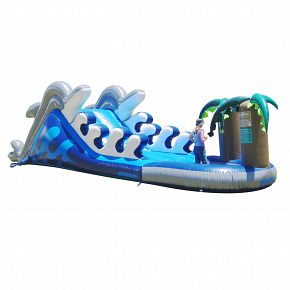Dolphin Slide