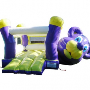 Teddybear Jumping Castle