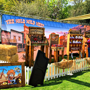 Wild West Back Drop